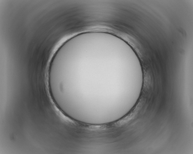 X0000111921478200907270959