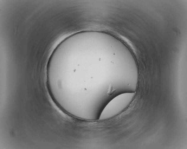 X0000111921479200907270959