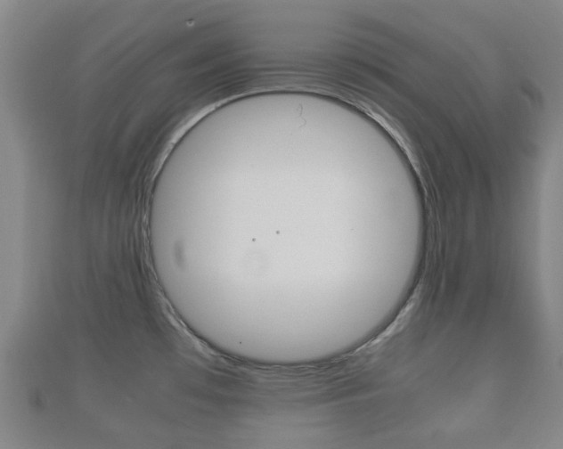 X0000111921481200907270959