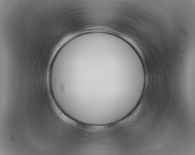 X0000111921482200907270959