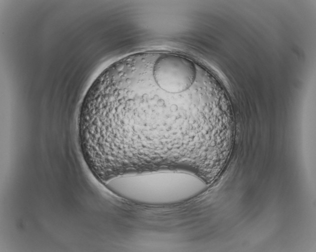 X0000111921483200907270959