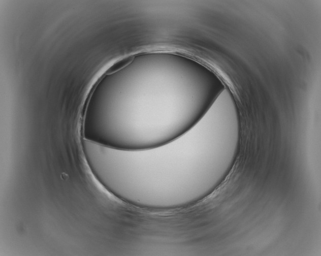 X0000111921484200907270959