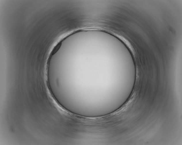 X0000111921485200907270959