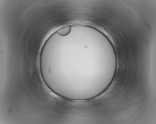 X0000111921486200907270959
