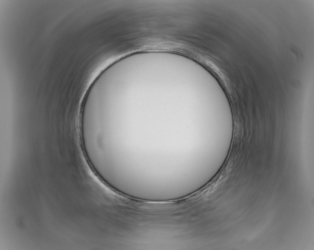 X0000111921487200907270959