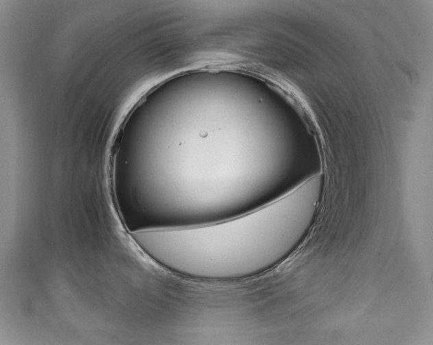 X0000111921488200907270959