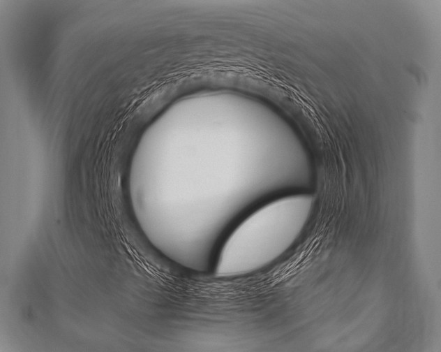 X0000111921489200907270958
