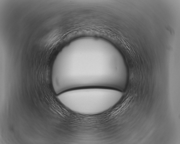 X0000111921490200907270958