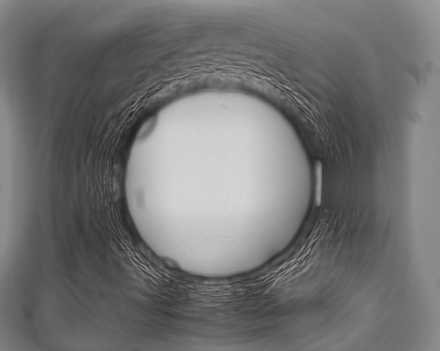 X0000111921491200907270958