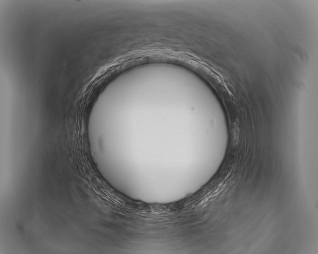 X0000111921494200907270958