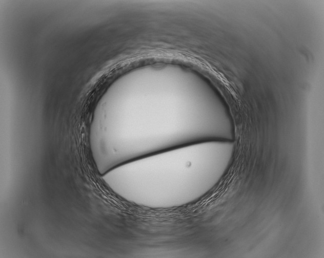 X0000111921495200907270958