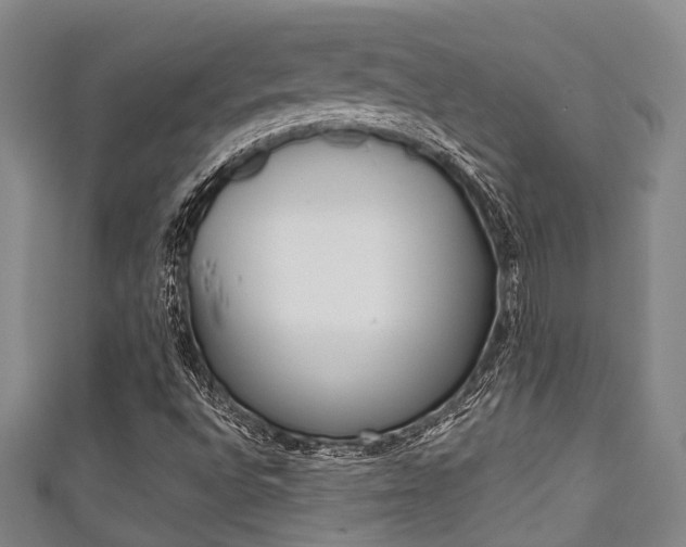 X0000111921496200907270958