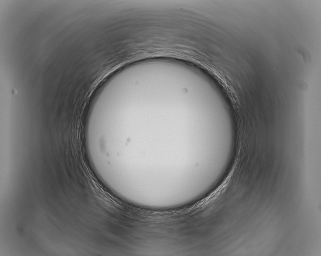 X0000111921497200907270958
