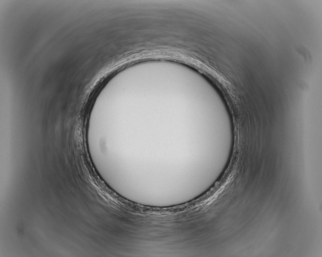 X0000111921498200907270958