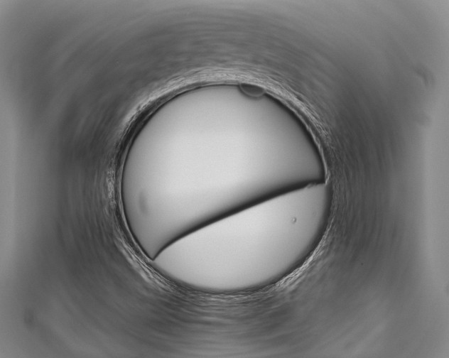 X0000111921499200907270958
