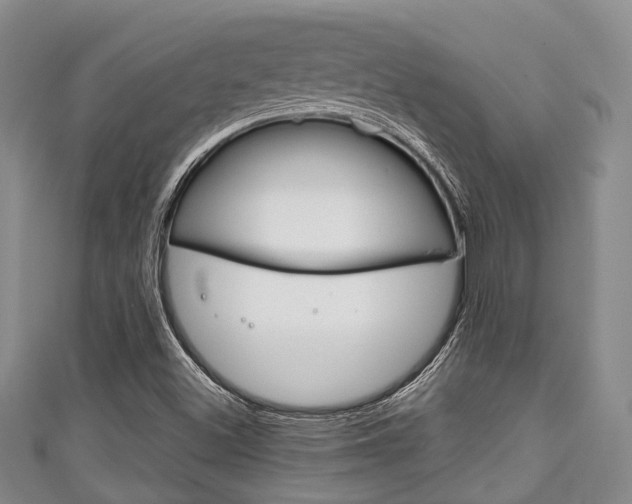 X0000111921500200907270958