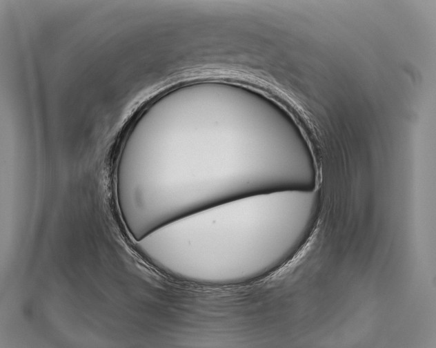 X0000111921501200907270958