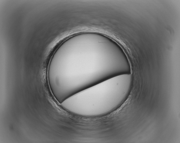 X0000111921503200907270958