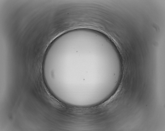 X0000111921505200907270958