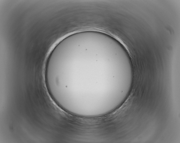 X0000111921508200907270958