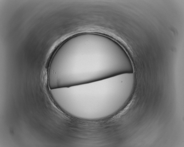 X0000111921509200907270958