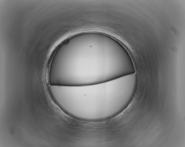 X0000111921510200907270958