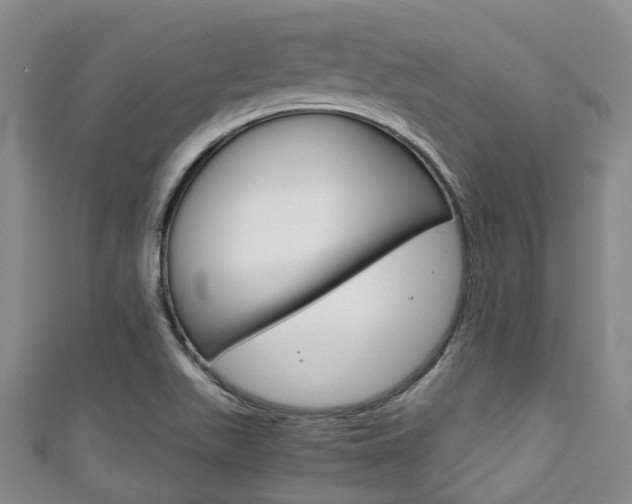 X0000111921511200907270958