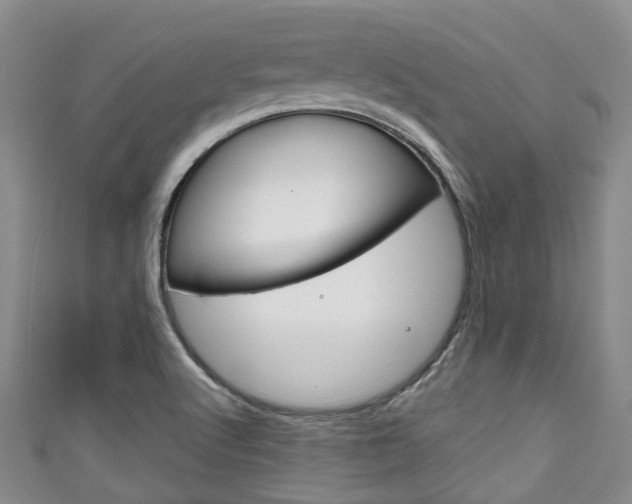 X0000111921512200907270958