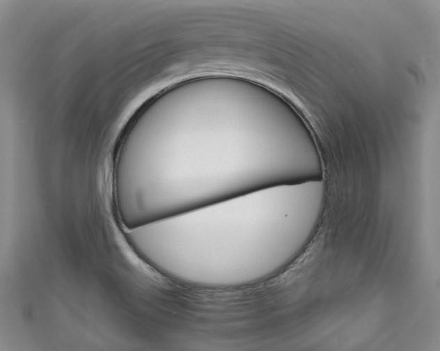 X0000111921515200907270959