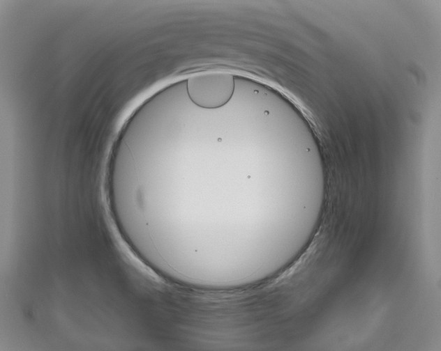 X0000111921518200907270959