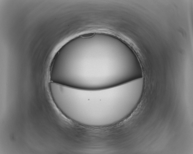 X0000111921520200907270959
