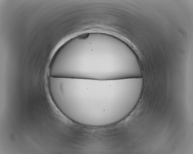 X0000111921522200907270959