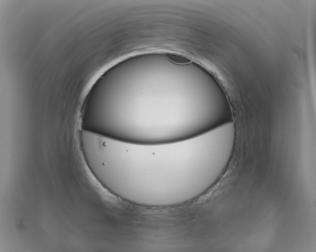 X0000111921524200907270959