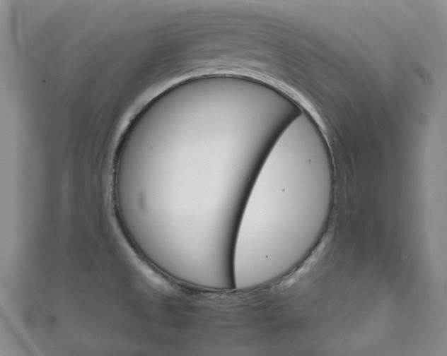 X0000111921525200907270959