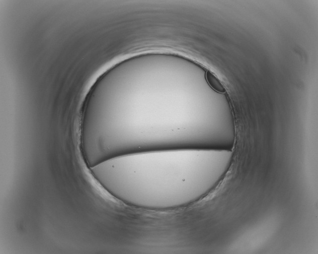 X0000111921526200907270959