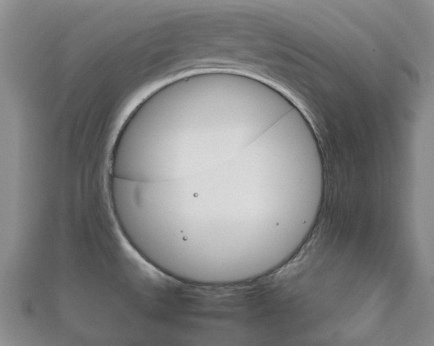 X0000111921527200907270959
