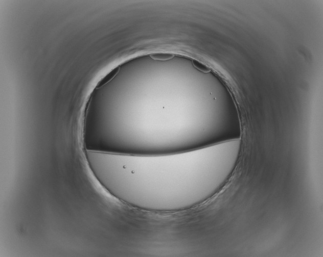 X0000111921528200907270959