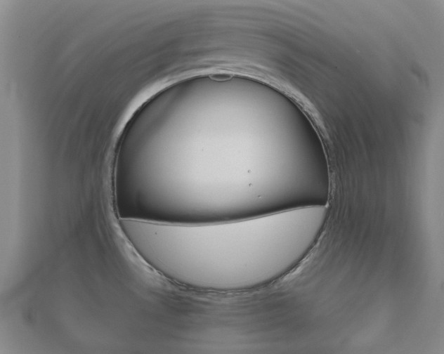 X0000111921530200907270959