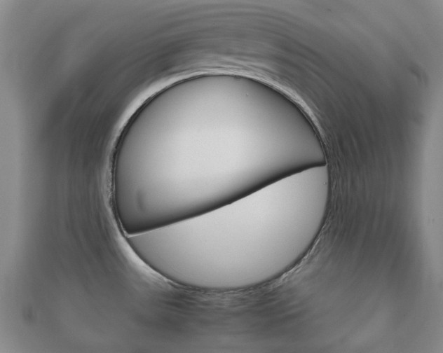 X0000111921531200907270959