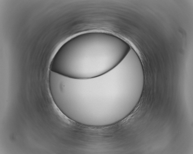 X0000111921532200907270959
