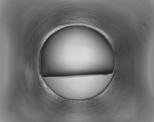 X0000111921534200907270959