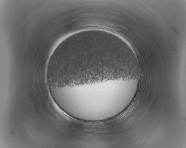 X0000111921535200907270959