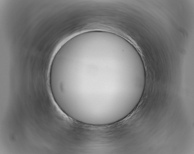 X0000111921536200907270959