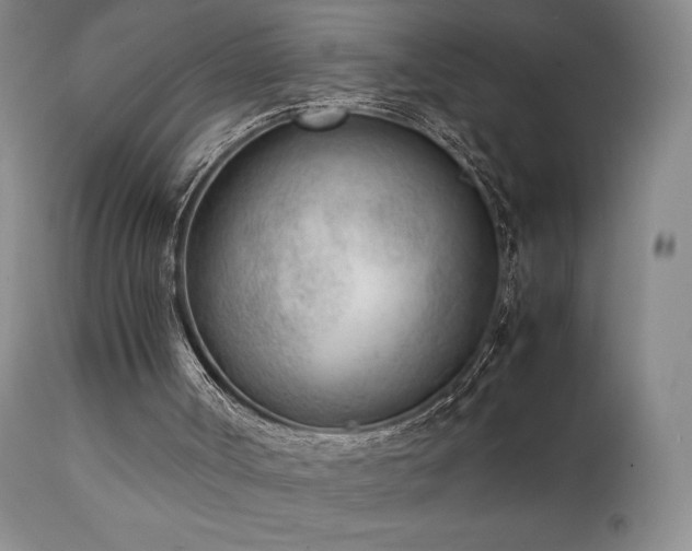 X0000111920002200907271300