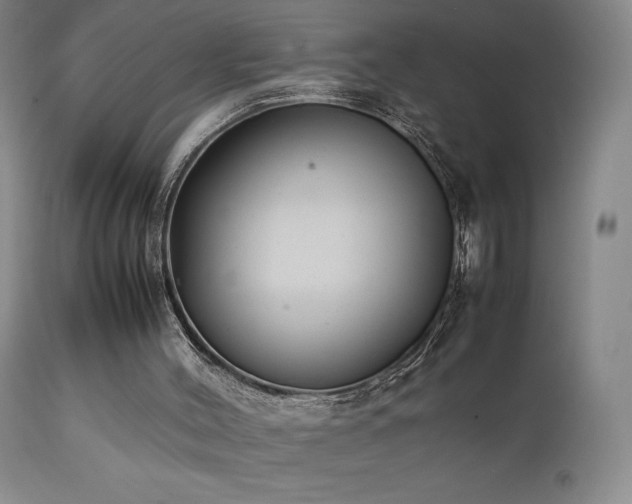 X0000111920004200907271300