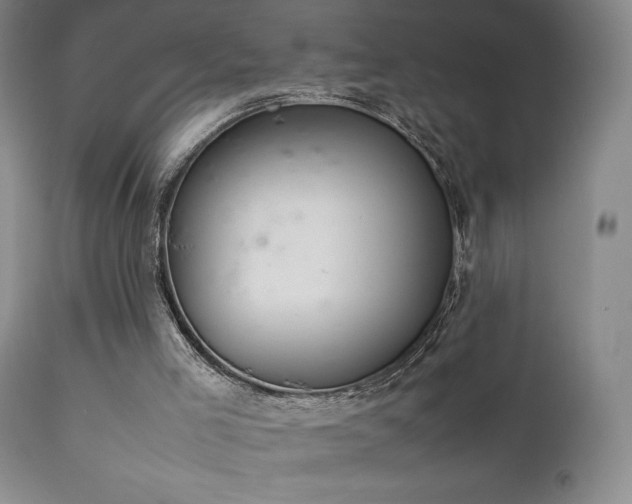 X0000111920005200907271300