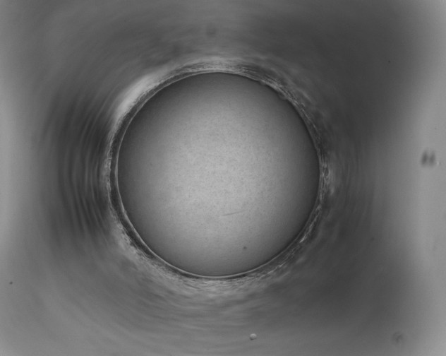 X0000111920006200907271300