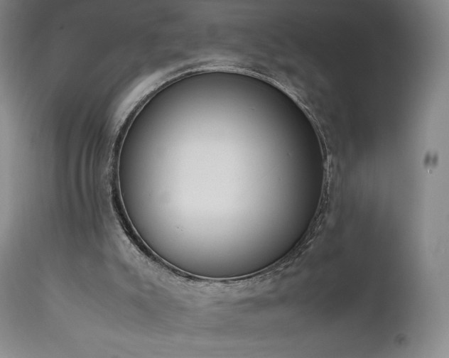 X0000111920007200907271300