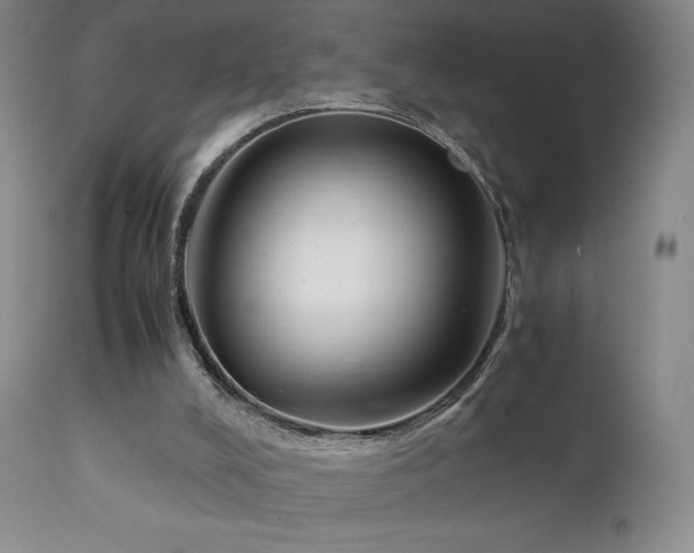 X0000111920008200907271300