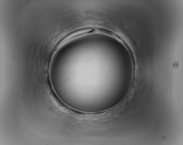 X0000111920009200907271300